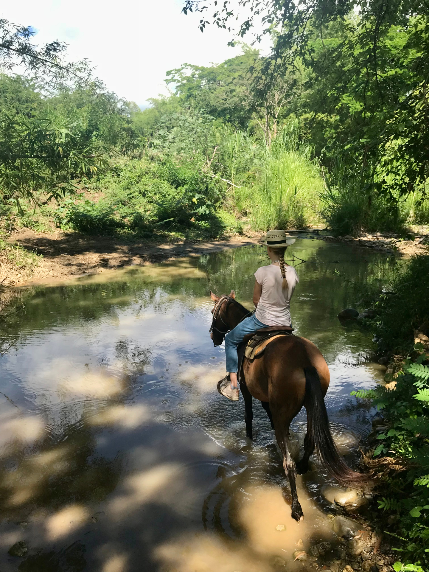 Paardrijden door rivier