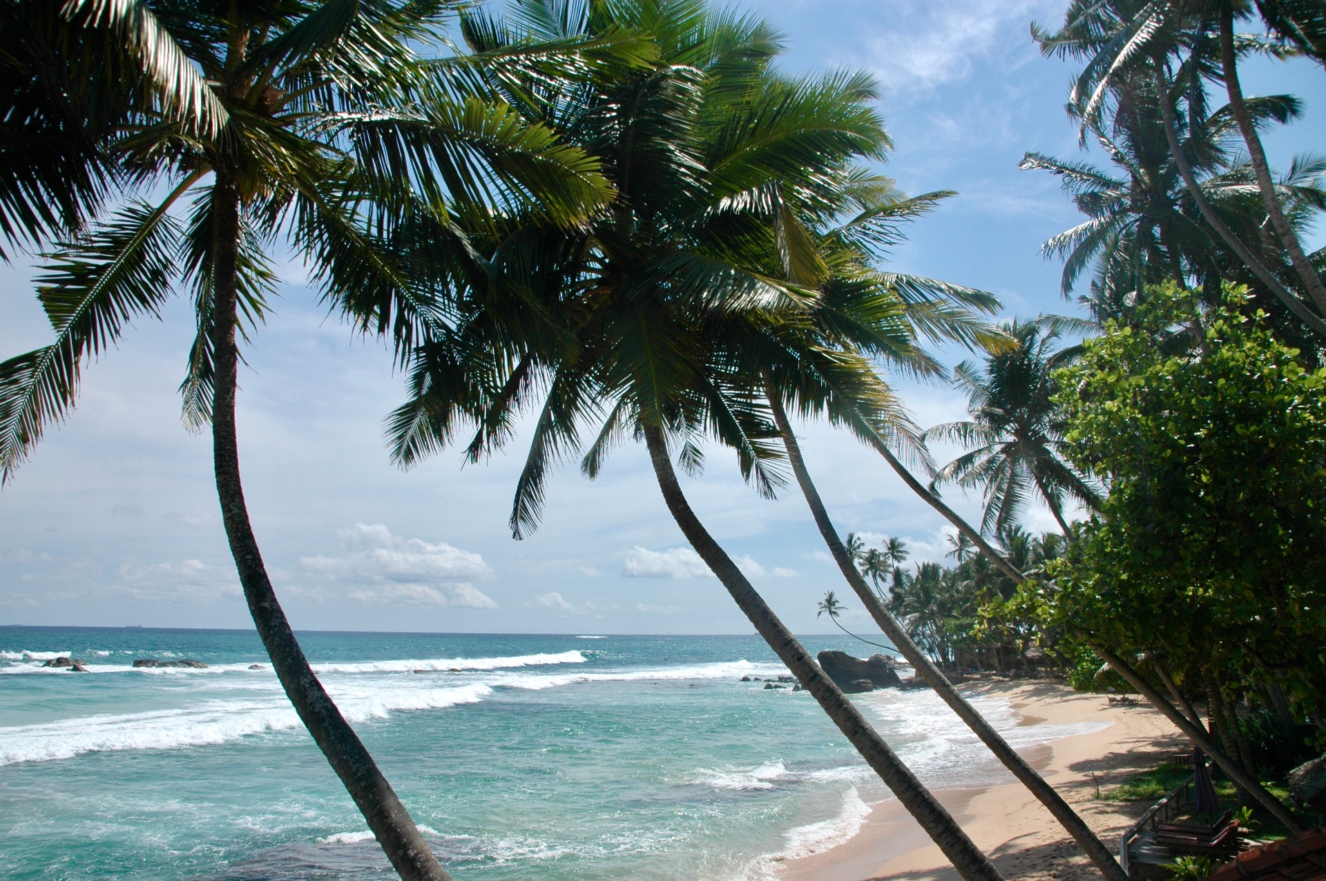 Tropisch strand met palmbomen
