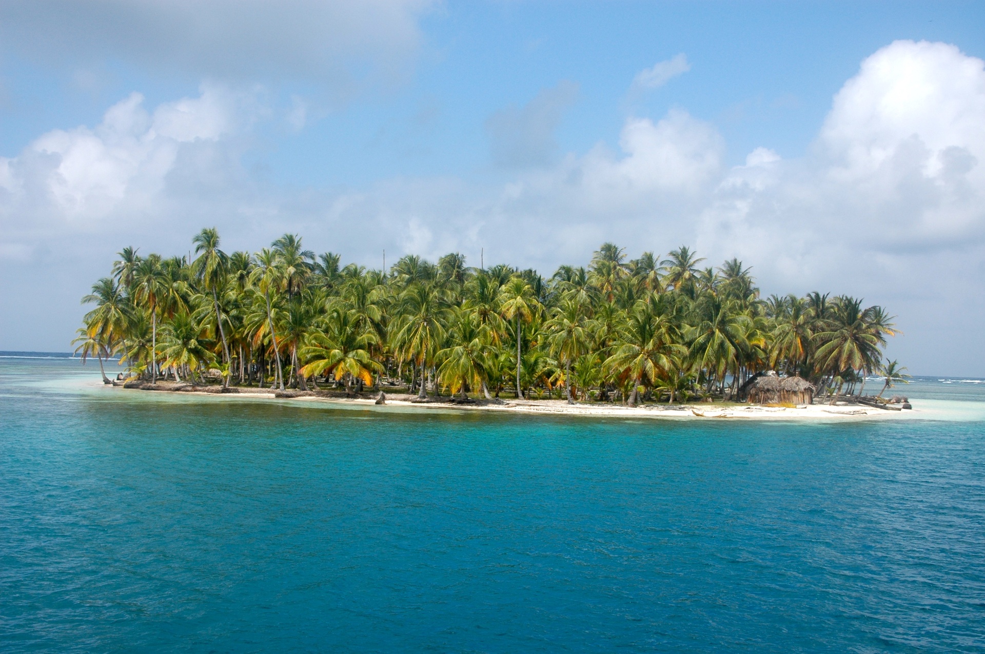 Tropisch eiland met palmbomen